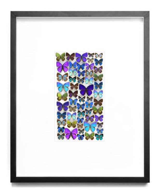 319563_10150317297166902_1098194383_n