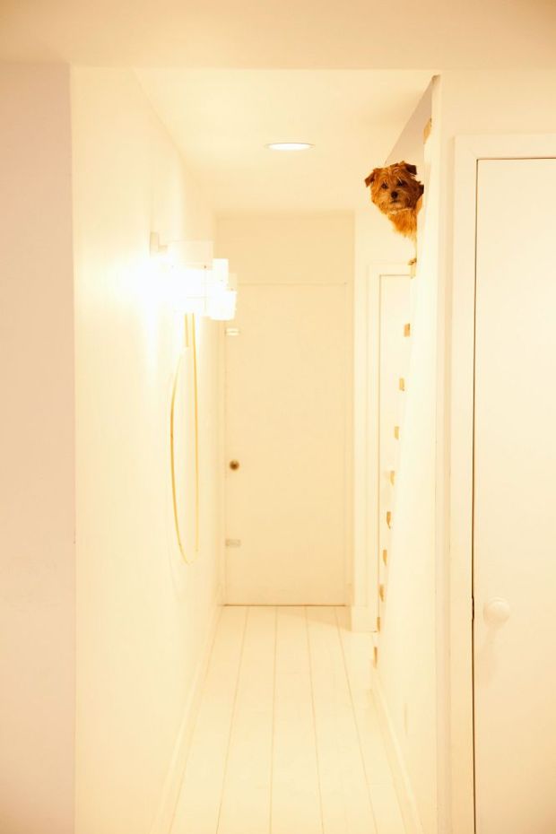 3_27_10_LyndsayC_FitzhughK22435