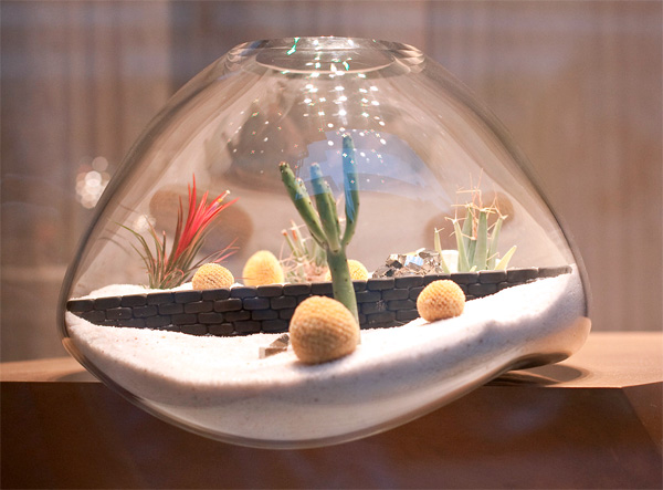 litill terrariums
