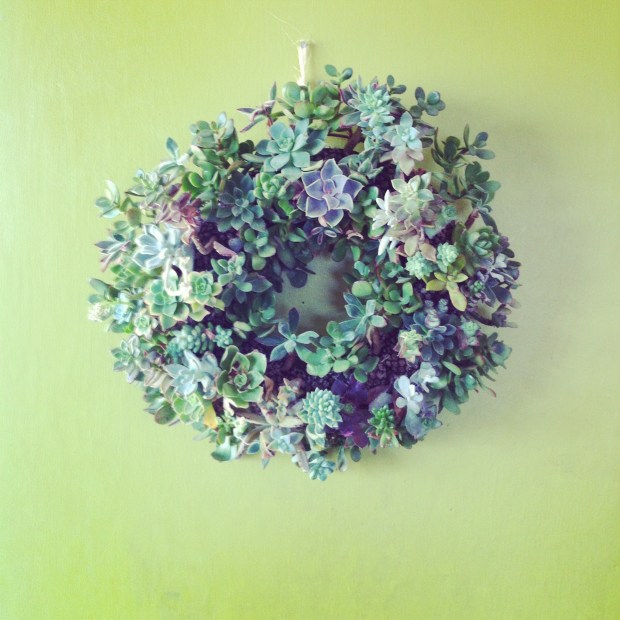 succulent wreath 